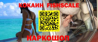 молекула духа Кингисепп