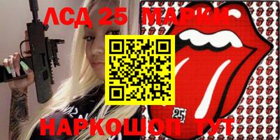 молекула духа Кингисепп