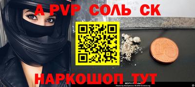 молекула духа Кингисепп