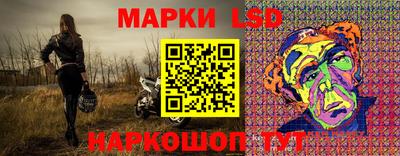 молекула духа Кингисепп