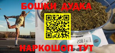молекула духа Кингисепп