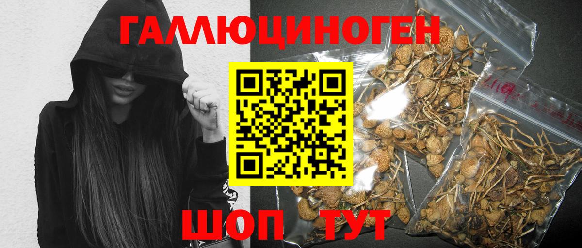 Псилоцибиновые грибы мухоморы Краснознаменск