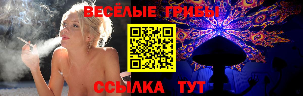 Краснознаменск  Псилоцибиновые грибы Psilocybine cubensis  Вход с VPN  Галлюциногенные грибы прущие грибы 